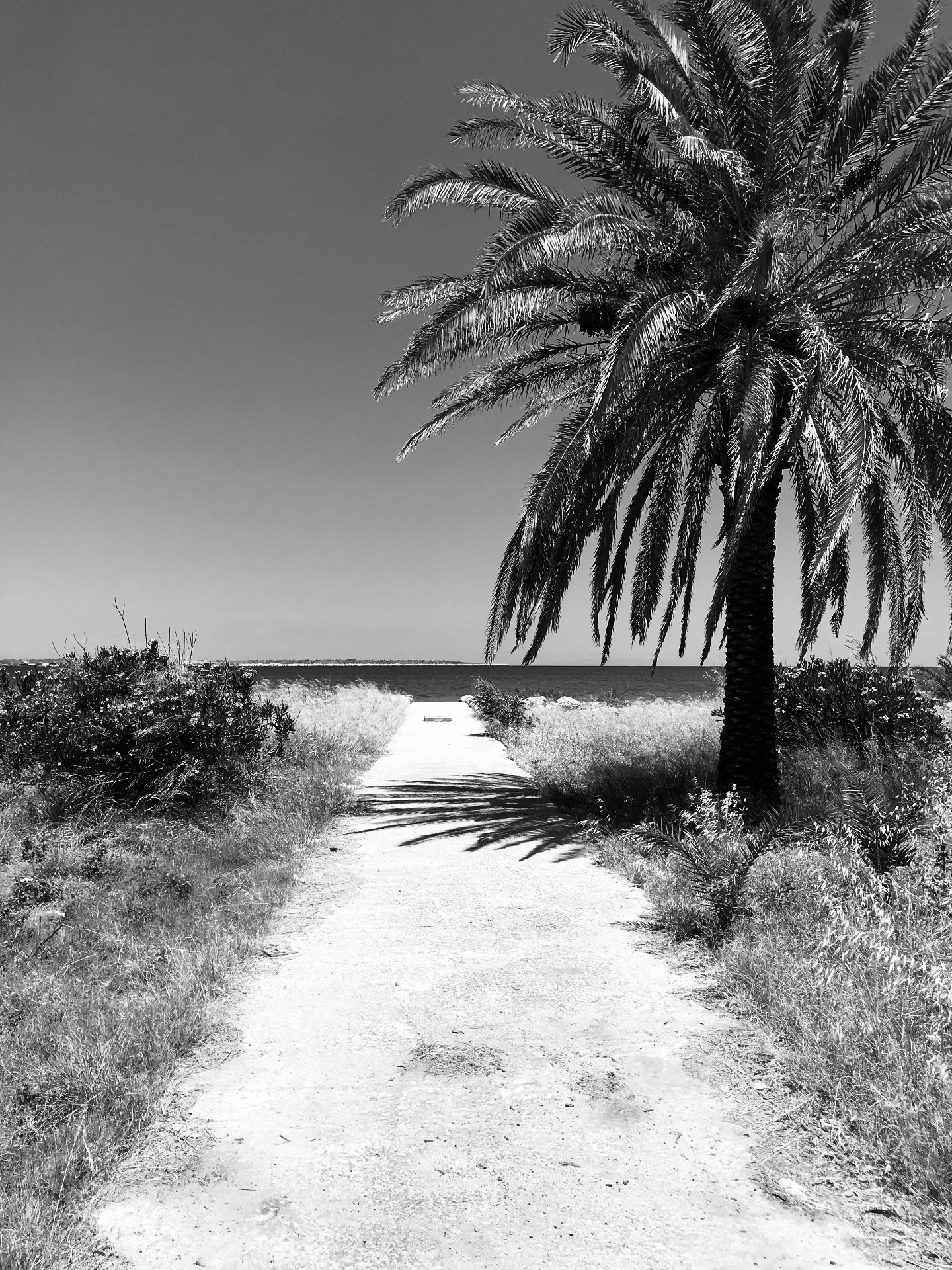 Untitled, 2025, Abel Gropius