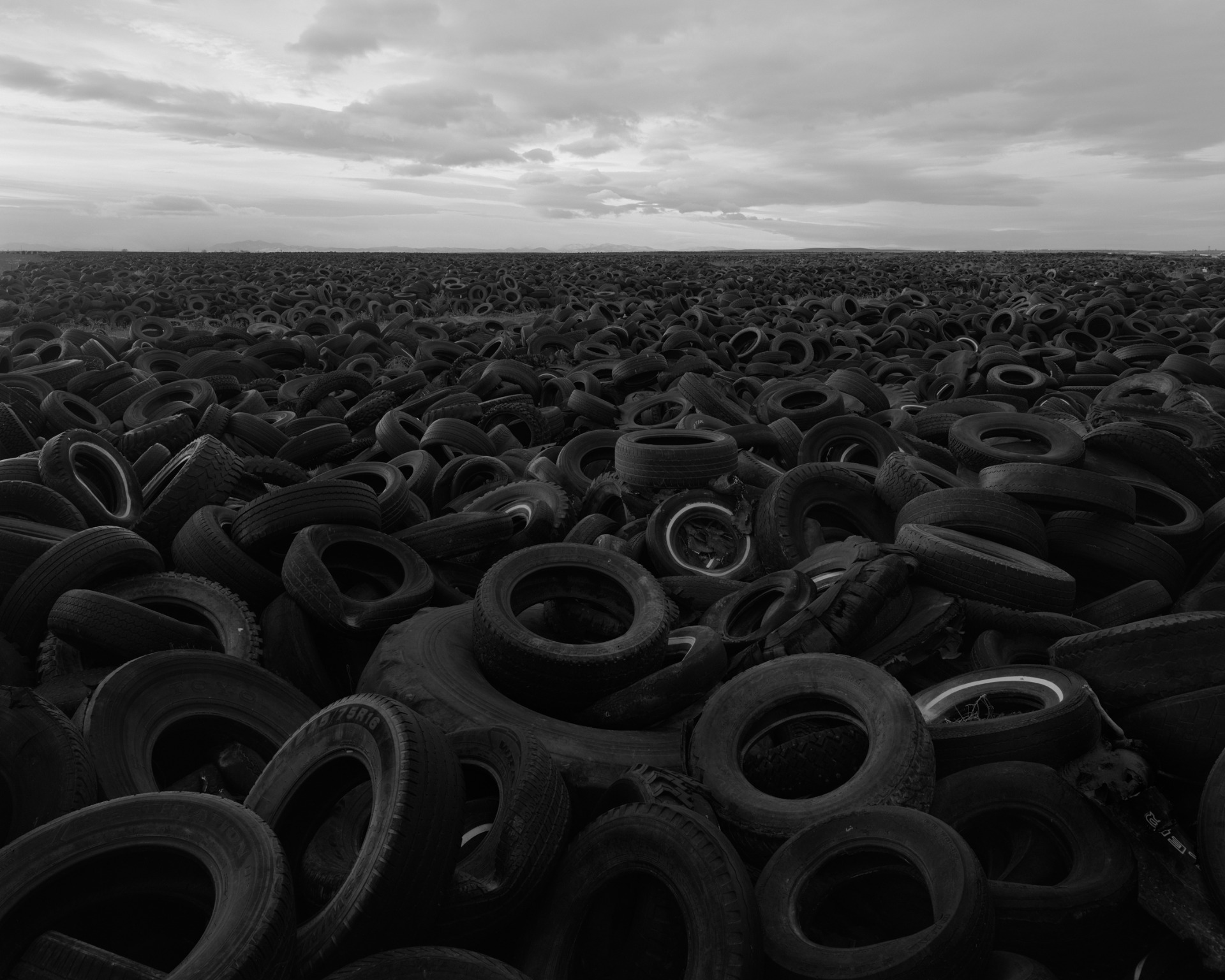 Bryan Schutmaat, Tires from Sons of the Living (Trespasser, 2024)